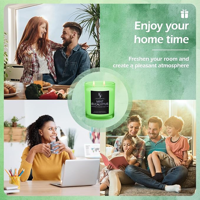 Mint Eucalyptus Scented Candle, 2-Wick Luxury Soy Wax Candle, 9 oz Aromatherapy Candle Home Fragrance Candles Gift