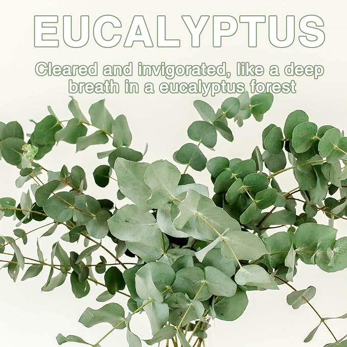 15 Packs Eucalyptus Scented Sachets Bag for Drawers and Closets, Air Freshener for Home Fragrance Sachet, Long-Lasting Hanging Closet Deodorizer Smell Goods for House