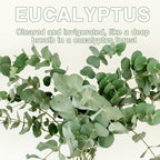 15 Packs Eucalyptus Scented Sachets Bag for Drawers and Closets, Air Freshener for Home Fragrance Sachet, Long-Lasting Hanging Closet Deodorizer Smell Goods for House