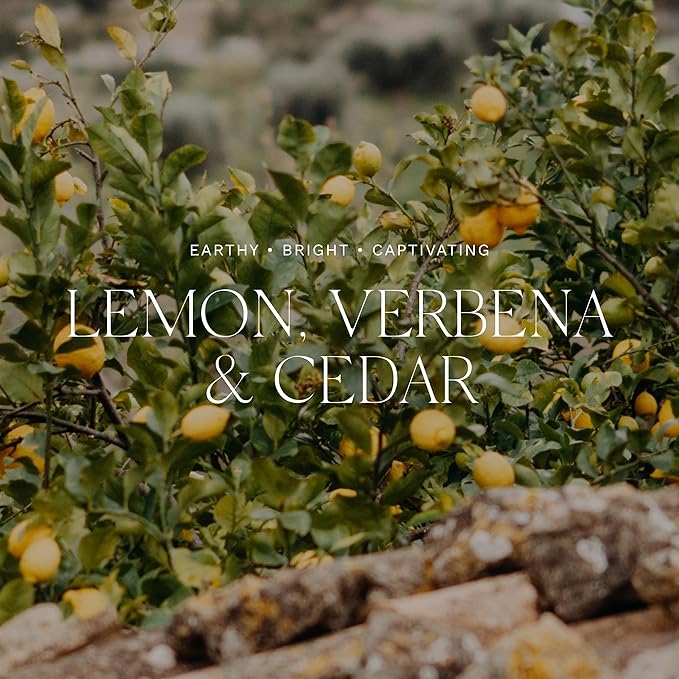 Antica Farmacista Home Ambiance Diffuser,Lemon Verbena and Cedar,8.45 Fl Oz