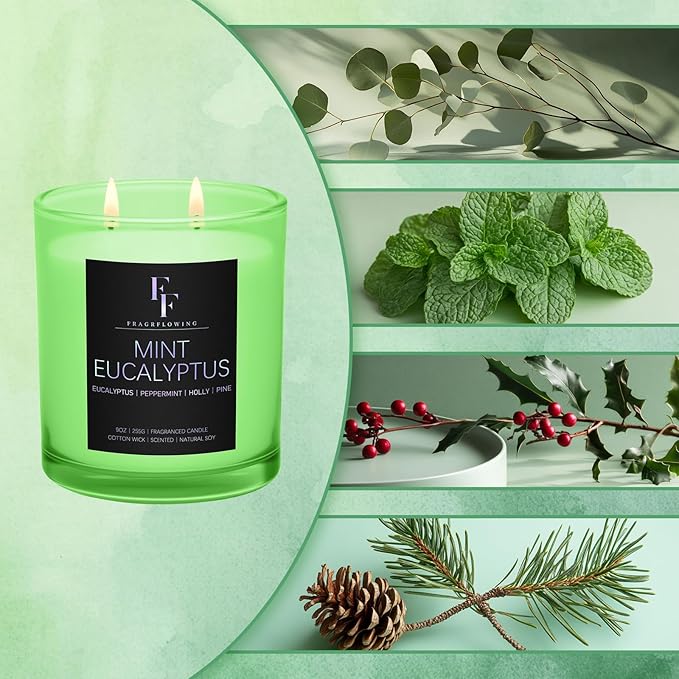 Mint Eucalyptus Scented Candle, 2-Wick Luxury Soy Wax Candle, 9 oz Aromatherapy Candle Home Fragrance Candles Gift