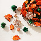 Fall Potpourri Bags, Oranges Scented Dried Flowers, Autumn Potpourri Bowl Vase Filler Decorative, Citrus Fragrance for Bathroom, Home Decor Fragrance Sachet Petal (Orange)