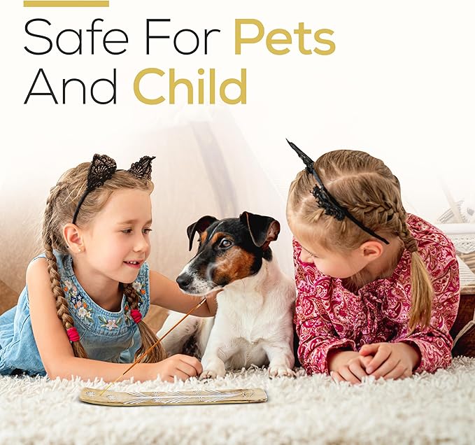 Satya Californian White Sage Incense Sticks 250 gmx 2 Pack (500 GMS), Insenses with Raajsee Insence Holder Bundle, Nag Champa Natural Incense