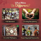 22- Piece Palo Santo Incense Sticks Bundle – Sandalwood (9”), Lavender (6.7”), & Ritual Self-Love (9”), Organic, Non-Toxic & Eco-Friendly, Wild-Harvested & Aromatic, 50-60 Min Burn Time