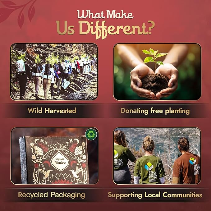 22- Piece Palo Santo Incense Sticks Bundle – Sandalwood (9”), Lavender (6.7”), & Ritual Self-Love (9”), Organic, Non-Toxic & Eco-Friendly, Wild-Harvested & Aromatic, 50-60 Min Burn Time