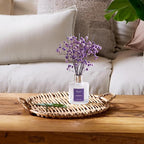 Airkeep Reed Diffuser Set,3.38 fl oz (100 ml) - Grapefruit Lemon Oil Diffusers with 8 Reed Sticks,Home Fragrance Reed Diffuser for Bathroom Shelf Decor