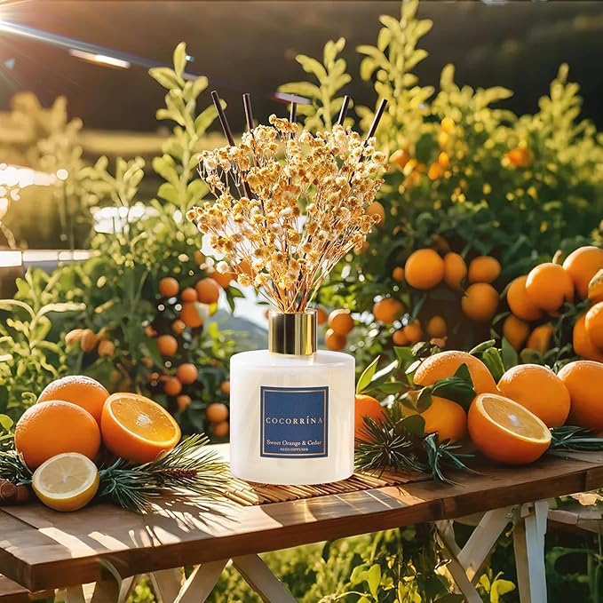 COCORRÍNA Reed Diffuser - Sweet Orange & Cedar 6.7 Fl.oz Reed Diffuser Set with Sticks & Preserved Baby's Breath, Reed Diffuser for Home Bathroom Shelf Decor