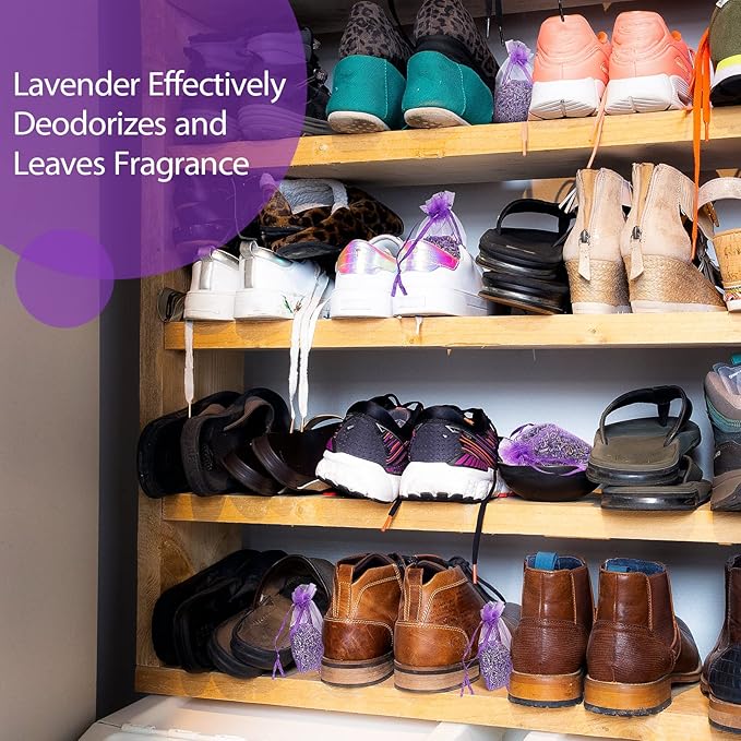 Reginary 60 Pack Lavender Sachets Bags Bulk for Drawers and Closets Home Fragrance Sachet Dried Lavender Flower for Wedding Bridal Shower Favors