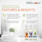 Air Freshener Spray - Odor Eliminator with Essential Oils for Home, Car & Fabric - Cruelty Free & Vegan - Variety Pack - Citrus & Spice + Lavender + Lemongrass - 3 x 4 fl oz