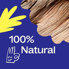 Plant Therapy Harvest Moon Fall Linen Spray 8 oz All Natural Pillow and Linen Spray, Powered by Essential Oils, Aromatherapy