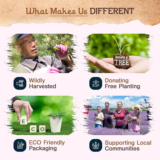 9 pcs Wildly Harvested - Lavender Flowers and Olibanum Incense Sticks, 7" Long - Thick Aromatic Incense Sticks, 100% Natural