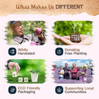 9 pcs Wildly Harvested - Lavender Flowers and Olibanum Incense Sticks, 7" Long - Thick Aromatic Incense Sticks, 100% Natural