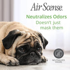 Air Scense Essential Oil Air Freshener - Vanilla Scent - Non-Aerosol - 7 fl oz | Refreshing, Long-Lasting Scent | Eco-Friendly | Exceptional Value Single Can