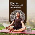 Satya Nag Champa Palo Santo Incense Sticks 250 gmx 4 Pack (1000 GMS), Insenses with Raajsee Insence Holder Bundle, Nag Champa Natural Incense