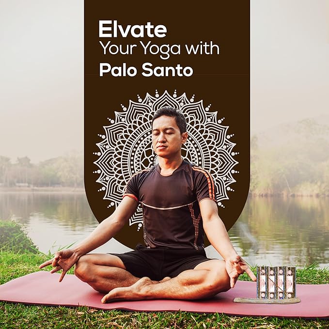 Satya Nag Champa Palo Santo Incense Sticks 250 gmx 4 Pack (1000 GMS), Insenses with Raajsee Insence Holder Bundle, Nag Champa Natural Incense