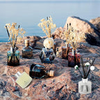 Brakula 2 Pack Reed Diffuser Set, Eucalyptus & Wild Mint Scented, Home Fragrance with 14 Sticks Bathroom Decor, Reed diffusers for Home 6.76 fl oz (Eucalyptus & Wild Mint)