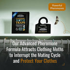 Dr. Killigan's Premium Double Potent Clothing Moth Traps with Pheromones Prime, Organic Clothes Moth Trap with Lure for Closets & Carpet, Case Making & Web Spinning (6 Pack, Black)