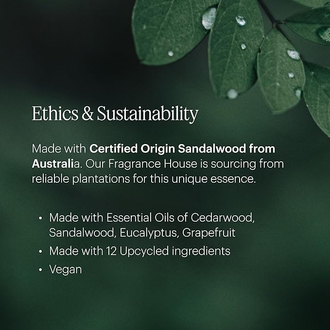 Aera Mini Palo Santo - Essential Oil for Home - Purifying and Cleansing Fragrance - Notes of Palo Santo, Juniper and Peru Balsam - Scent Refill - Capsule Size Works with Mini Diffuser