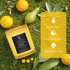Citrus & Sage Scented Candle, 2-Wick Luxury Soy Wax Candle, 9 oz Aromatherapy Candle Home Fragrance Candles Gift