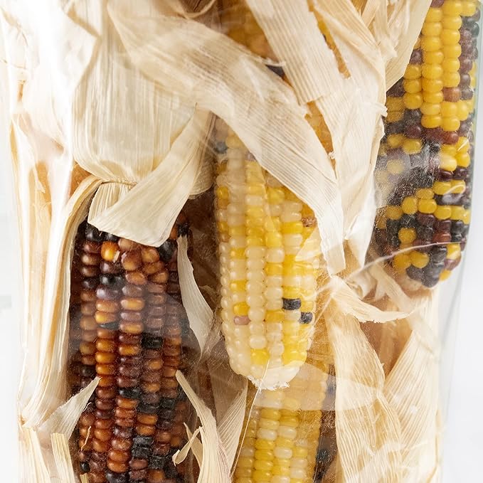 ANDALUCA Natural Vase Fillers Mini Indian Corn | Indian Corn for Fall, Autumn & Thanksgiving Home Decor (Mini Corn)