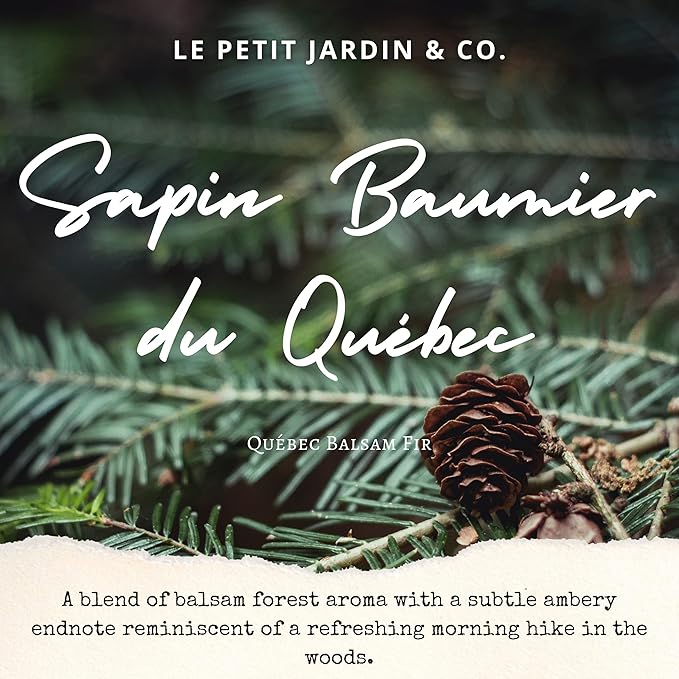 Reed Diffusers - Oil Sticks Diffuser Set with Real Dried Flowers - Reed Diffusers for Home, Bathroom & Office | Air Freshener Fragrance Sticks for Shelf Decor & Gifts by Le Petit Jardin & Co.