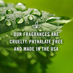 P&J Trading Fragrance | Seashore Oil 30ml - Candle Scents for Candle Making, Freshie, Soap Making Supplies, Diffuser Oil Scents