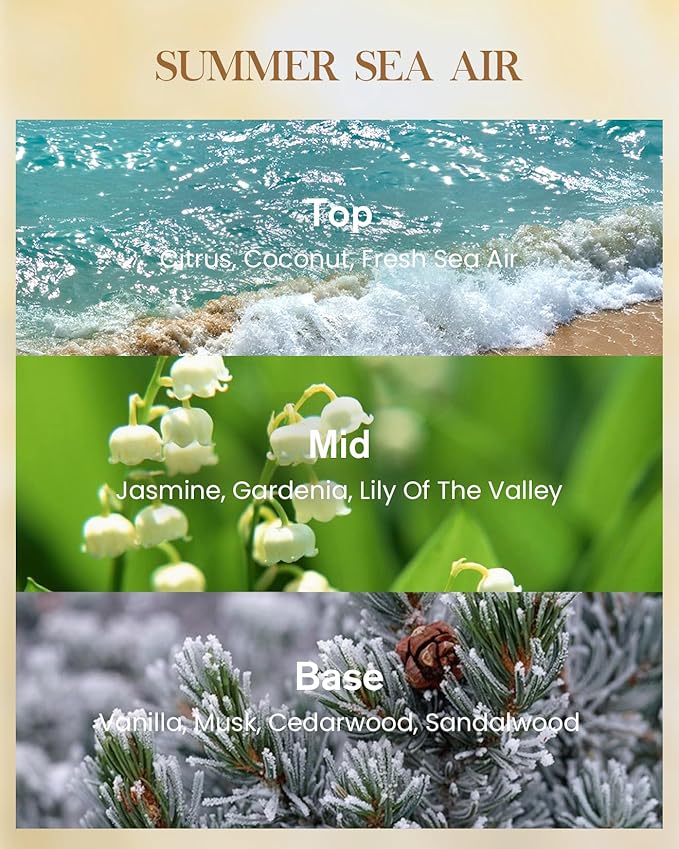 M&SENSE Summer Sea Air Scented Candle Home Decor, Natural Soy Wax,4.1oz 60 Hours Long Lasting Slow Burning, Aromatherapy Candle for Stress Relief