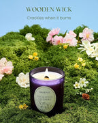 M&SENSE Eucalyptus Lavender Strong Scented Candle, Wooden Wick Candle with Lid, 100 Hours Slow Burning No Toxin Natural Soy Wax 18oz, Relax Aromatherapy Sleep Home Fragrance, Housewarming Gifts