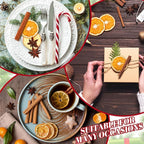 120 Pieces Christmas Potpourri Simmer Pot Simmering Potpourri Bowl Filler Xmas Simmer Pot Kit for Stove Dried Orange Apple Slices Cinnamon Sticks Stovetop for Holiday Xmas Decor