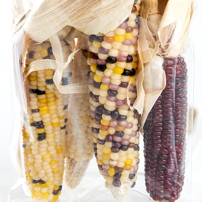 ANDALUCA Natural Vase Fillers Mini Indian Corn | Indian Corn for Fall, Autumn & Thanksgiving Home Decor (Mini Corn)
