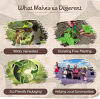 Incense Burner, Triangular Sahumador - Hand-Carved Cement Incense Holder, Ash Catcher for Sticks, Cones, Bombs & Smudges - 1 Piece, Perfect for Smudging, Yoga, and Meditation Accessories