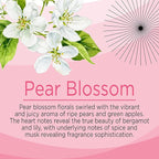 Citrus Magic Limited Edition Odor Eliminating Air Freshener Spray, Pear Blossom, 3-Ounce, Pack of 3