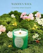 M&SENSE Citrus Pine Scented Candles Summer Paradise, Wooden Wick Candle with Lid, 100 Hours Slow Burning No Toxin Natural Soy Wax 18oz, Air Purifying Calm Relax Home Fragrance, Housewarming Gifts