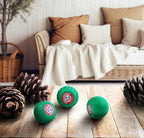 Arm & Hammer Odor Busterz Forest Pine (3 count)