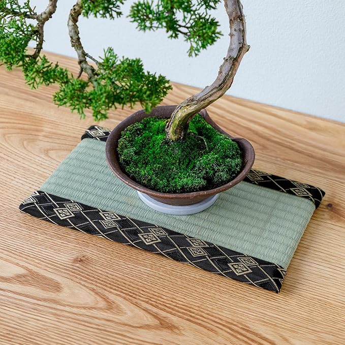 Asayu Mini Tatami mat Made of Real Igusa Rush Grass, Made in Japan, for Bonsai, Doll Stand, Coaster, Incense Holder (Black)