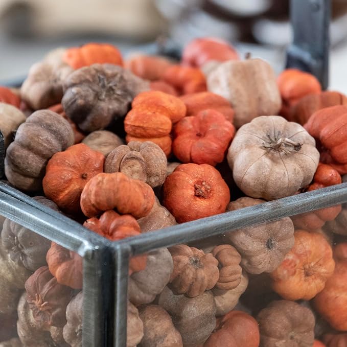 ANDALUCA Natural Vase Fillers | Fall Fragrance Scented Putka Pods Potpourri Home Décor (Mixed Putka Pods)