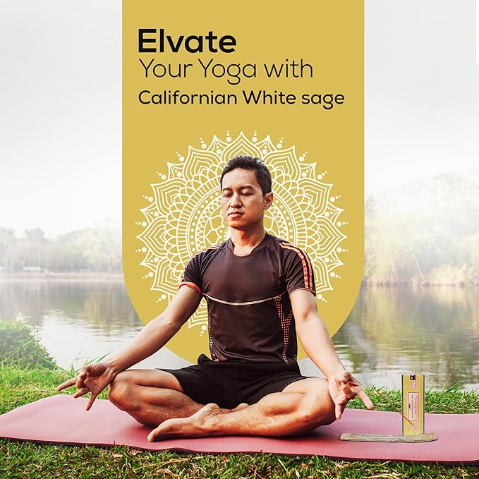 Satya Californian White SageIncense Sticks 250 gmx 4 Pack (1000 GMS), Insenses with Raajsee Incense Holder Bundle, Nag Champa Natural Incense