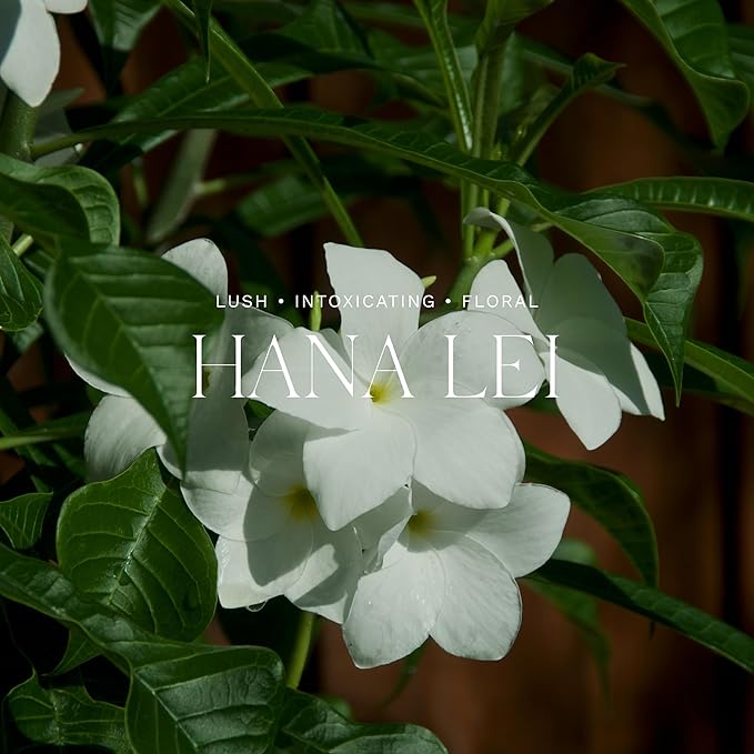 Antica Farmacista Home Ambiance Diffuser,Hana Lei,8.45 Fl Oz