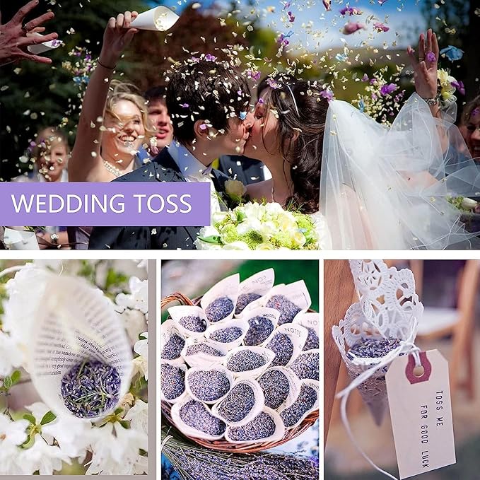 Cedar Space Lavender Sachet Bags for Drawers and Closets 24 Lavendar Sachet Bags Filled with Premium Dried Scented Lavender Bridal Shower Favors Home Fragrance Sachet Packets Closet Smell Freshener