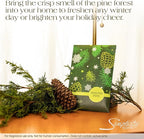 Simplicity Scents Winter Pine Scented Sachets Pack of 6, Fall & Winter - Long-Lasting Scented Bags, Home Fragrance, Air Freshener & Deodorizer for Closet, Room, Drawer, or Cars, Made in USA
