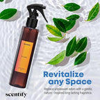 Scentify Miami Odor Neutralizing Room Spray – Luxury Cashmere, Floral & Musky Wood Fragrance, Instant Odor Eliminator for Home, Office & Car – 6 oz