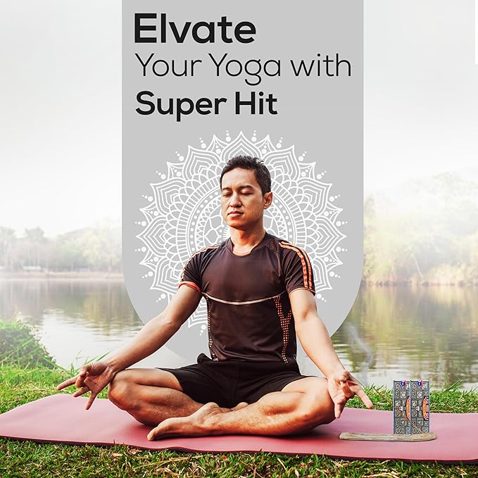 Satya Super Hit Incense Sticks 250 gmx 2 Pack (500 GMS), Insenses with Raajsee Insence Holder Bundle, Nag Champa Natural Incense