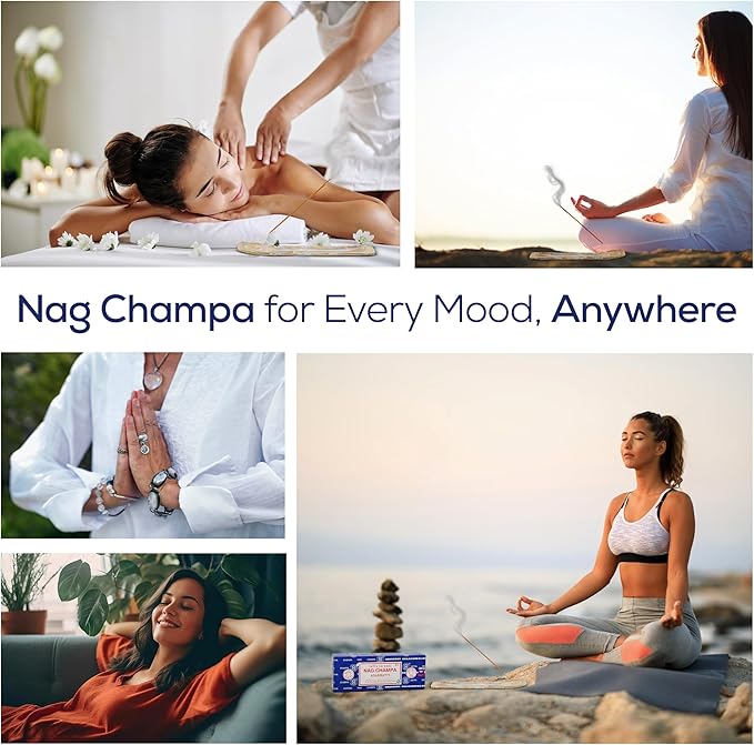 Raajsee Incense Holder Bundle with Satya Nag Champa Incense Sticks 250 gm Pack, Satya Sai Baba Nagchampa Natural Insence Sticks