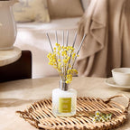 Airkeep Reed Diffuser Set,6.76 fl oz (200 ml) - White Jasmine Oil Diffusers with 8 Reed Sticks, Home Fragrance Reed Diffuser for Bathroom Shelf Decor