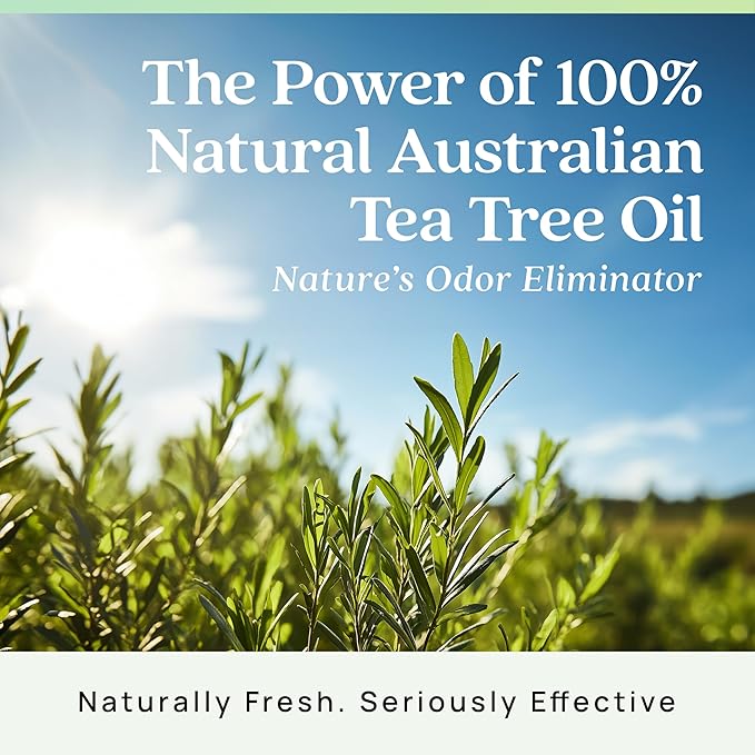 Azuna Air Freshener & Odor Eliminator for Strong Odor | 2 Room Kit Includes (2) 8 oz. Empty Luxe Glass Jars & 12 oz | Refill with Tea Tree Essential Oil Gel | Natural Scent | Last 60-90 Days