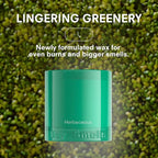 Boy Smells Grass Scented Candle - 8.5 oz - Home Candle with Bergamot, Fresh Sage, and Wild Grass Notes - Up to 50-Hour Burn - Cotton Wick