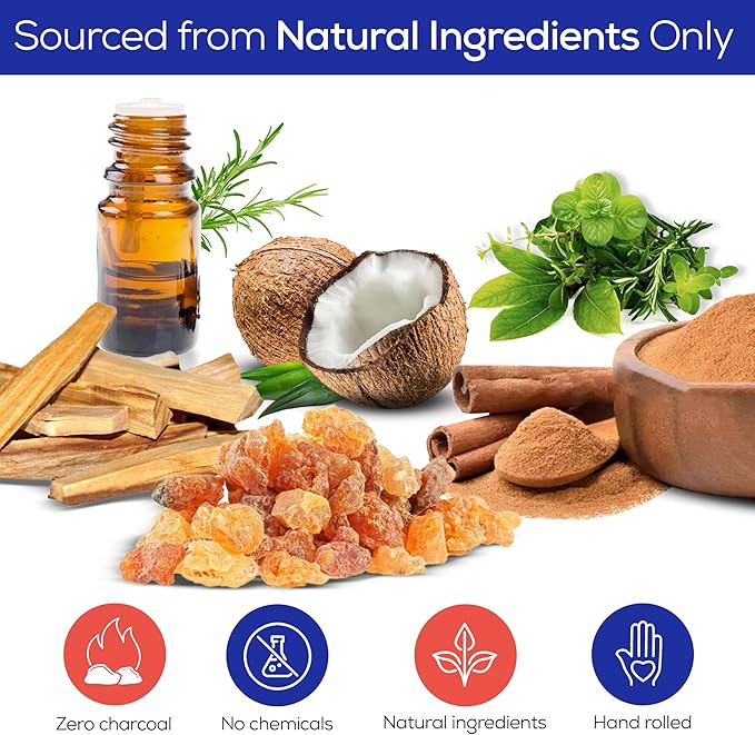 Raajsee Incense Stick Holder Bundle with Satya Nag Champa Incense Sticks 250 gmx 4 Pack (1000 GMS), Insense Sticks Nag Champa Agarbatti