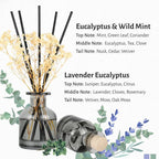 Brakula 2 Pack Reed Diffuser, Eucalyptus & Wild Mint + Lavender Eucalyptus (3.38 fl oz Each Pack), Home Fragrance with 12 Sticks, Shelf Decor, Reed diffusers for Home