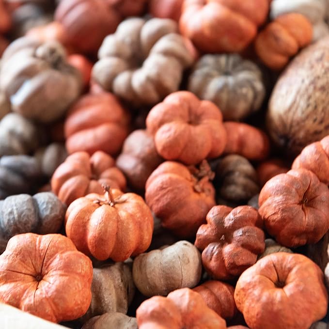 ANDALUCA Natural Vase Fillers | Fall Fragrance Scented Putka Pods Potpourri Home Décor (Mixed Putka Pods)