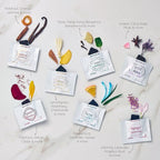 Chakra Incense Brick Variety Box with Tree of Life Burner